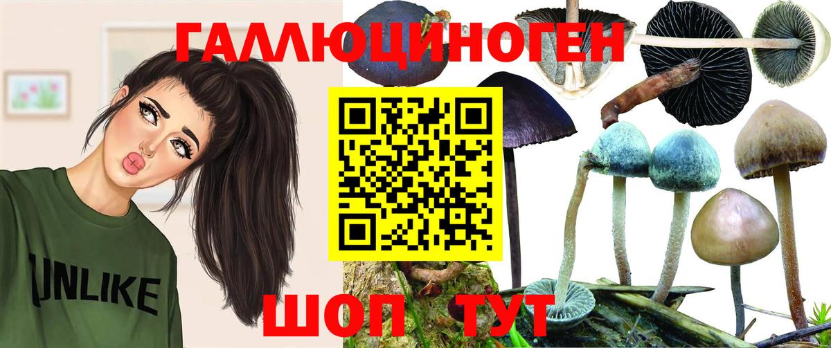 Псилоцибиновые грибы MAGIC MUSHROOMS Ковров